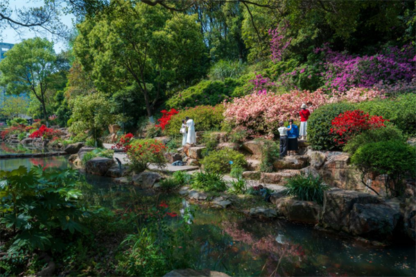 温州城里的“莫奈花园”，被我们找到了！